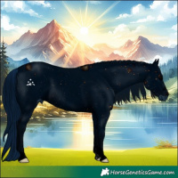 Horse Color:ERROR: UNKNOWN ANOMALY