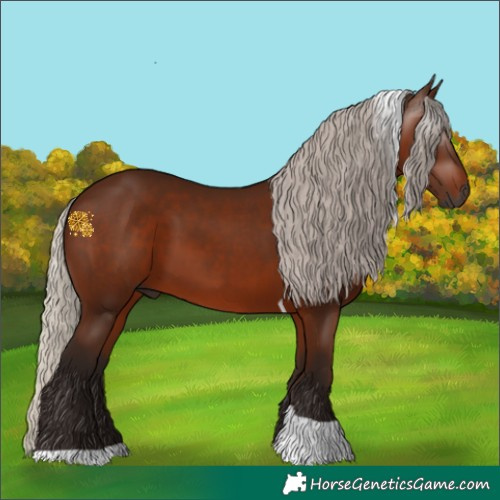 Horse Color:Gray Silver Bay Tobiano 