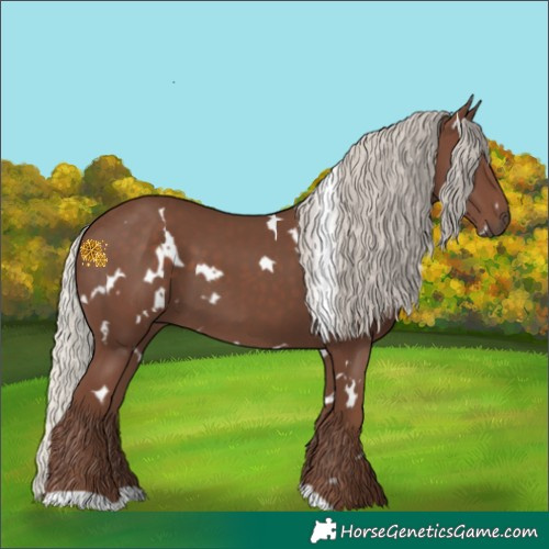 Horse Color:White Spotted Silver Black 
