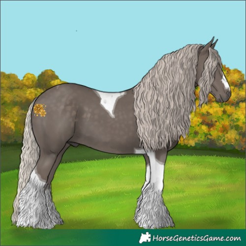 Horse Color:Silver Black Tobiano 