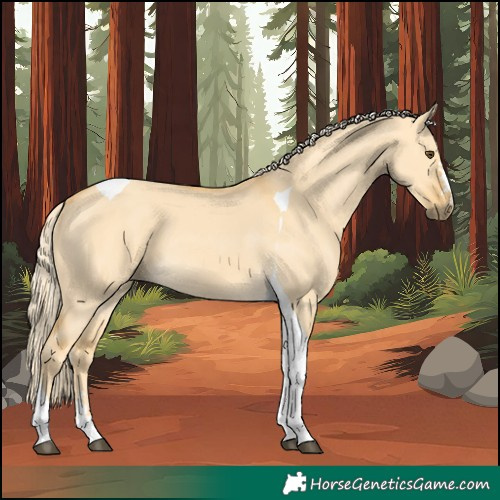 Horse Color:Palomino Dun Tobiano 