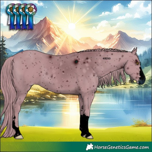 Horse Color:ERROR: UNKNOWN ANOMALY
