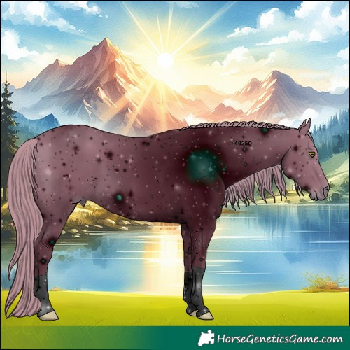 Horse Color:ERROR: UNKNOWN ANOMALY