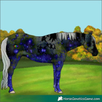 Horse Color:ERROR: UNKNOWN ANOMALY