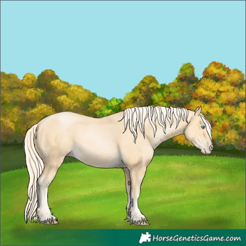 Horse Color:Palomino Pearl 