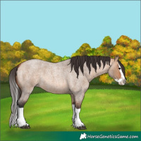 Horse Color:Bay Roan Dun Splash