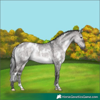 Horse Color:Platinum White Spotted Brown Dun