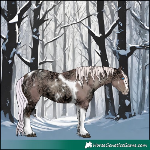 Horse Color:Watercolor White Spotted Silver Grullo Ice Pearl Splash Tobiano Frame 