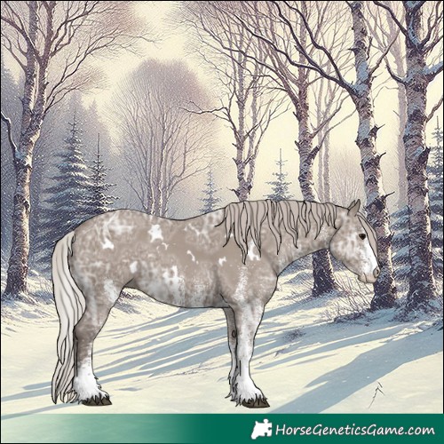 Horse Color:White Spotted Silver Grullo Ice 