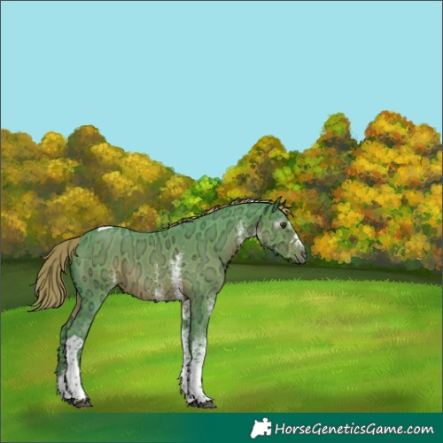 Horse Color:Gray Watercolor White Spotted Liver Chestnut Ice Tobiano 