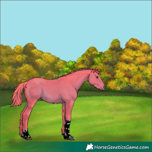 Horse Color:Watercolor Liver Chestnut Tobiano 