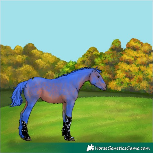 Horse Color:Watercolor Bay Tobiano 