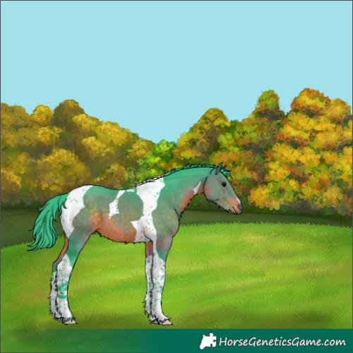 Horse Color:Watercolor Brown Tobiano 