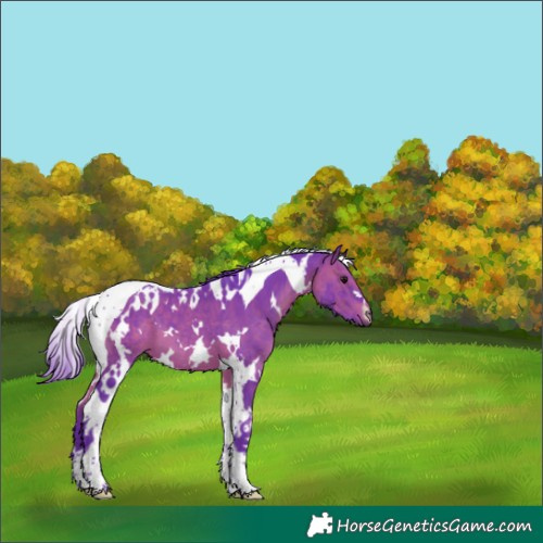 Horse Color:Watercolor White Spotted Brown Tobiano 