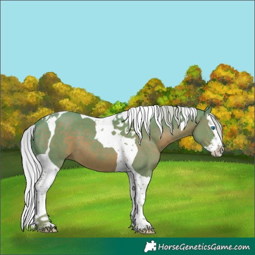 Horse Color:Watercolor Silver Black Splash Tobiano 