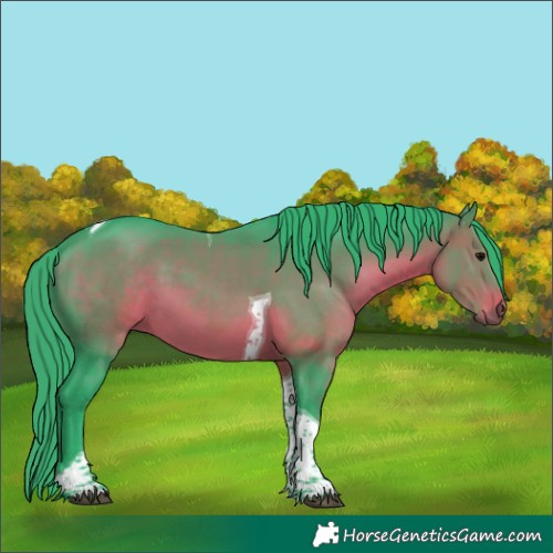 Horse Color:Watercolor Brown Tobiano 