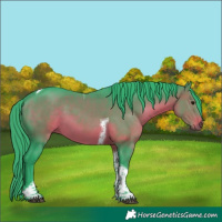Horse Color:Watercolor Brown Tobiano 
