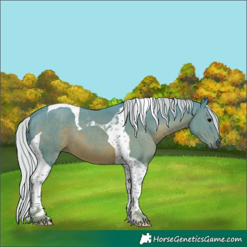 Horse Color:Watercolor Silver Black Tobiano 