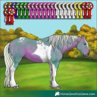 Horse Color:Watercolor Silver Brown Tobiano 