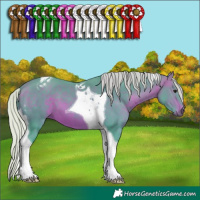 Horse Color:Watercolor Silver Brown Tobiano 