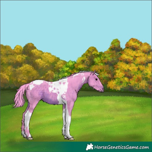 Horse Color:Watercolor Brown Tobiano 