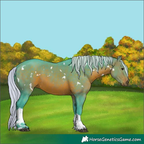 Horse Color:Watercolor White Spotted Silver Brown Tobiano 
