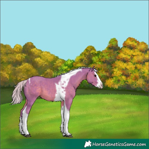 Horse Color:Watercolor Silver Black Splash Tobiano 