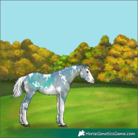 Horse Color:Watercolor White Spotted Silver Brown Splash Tobiano 