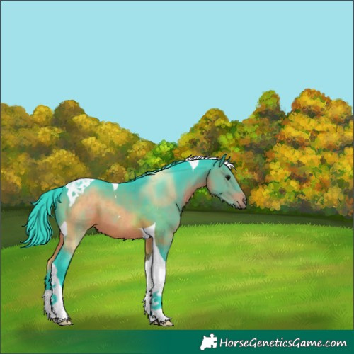 Horse Color:Watercolor Brown Tobiano 