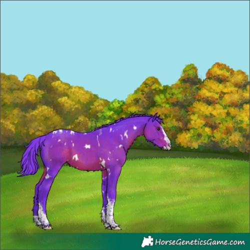Horse Color:Watercolor White Spotted Liver Chestnut Splash Tobiano 