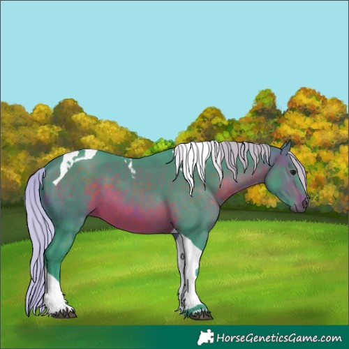 Horse Color:Watercolor Silver Brown Tobiano 