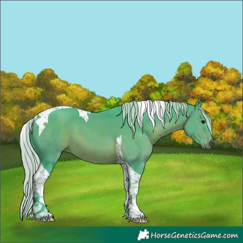 Horse Color:Watercolor Silver Brown Tobiano