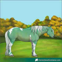 Horse Color:Watercolor Silver Brown Tobiano 