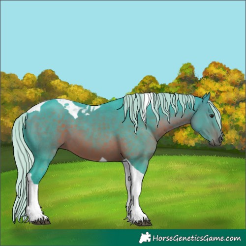 Horse Color:Watercolor Silver Brown Tobiano 