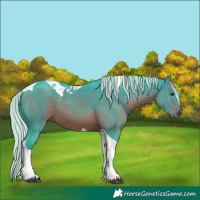 Horse Color:Watercolor Silver Brown Tobiano 