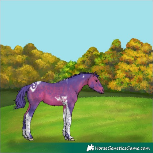 Horse Color:Watercolor Brown Tobiano 
