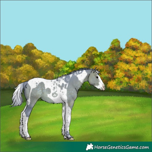 Horse Color:Watercolor Brown Splash Tobiano 