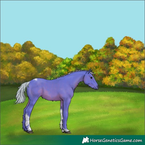 Horse Color:Watercolor Silver Black Tobiano 