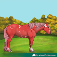 Horse Color:Watercolor White Spotted Liver Chestnut Tobiano 