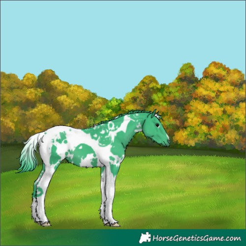 Horse Color:Watercolor White Spotted Black Tobiano 