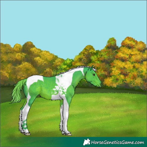 Horse Color:Watercolor Liver Chestnut Tobiano 