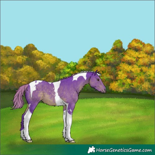 Horse Color:Watercolor Liver Chestnut Tobiano 