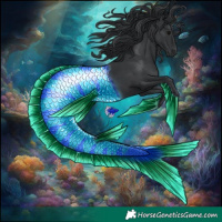 Horse Color:Black Tobiano 