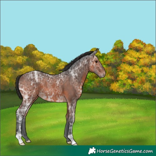 Horse Color:Brown Ice 