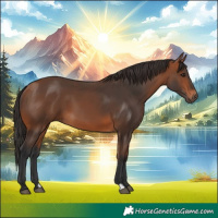 Horse Color:Bay 