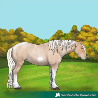 Horse Color:Silver Blue Roan Pearl Tobiano Frame 