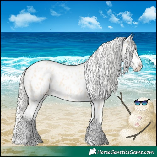 Horse Color:Cremello Appaloosa