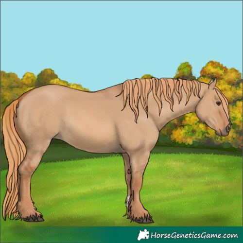 Horse Color:Red Dun 