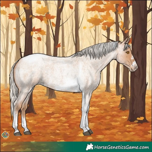 Horse Color:Silver Blue Roan Pearl Tobiano Frame