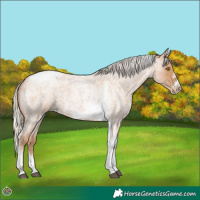 Horse Color:Silver Blue Roan Pearl Tobiano Frame 